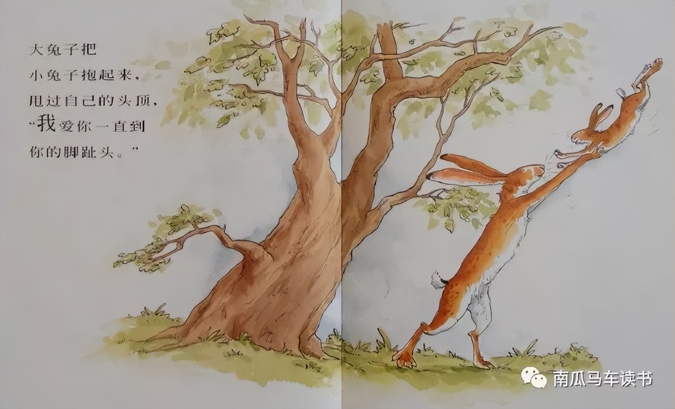 绘本《猜猜我有多爱你》：致敬母亲节——母爱到底有多长