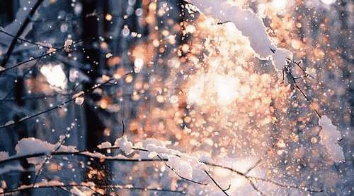 配乐散文:雪花飘飘
