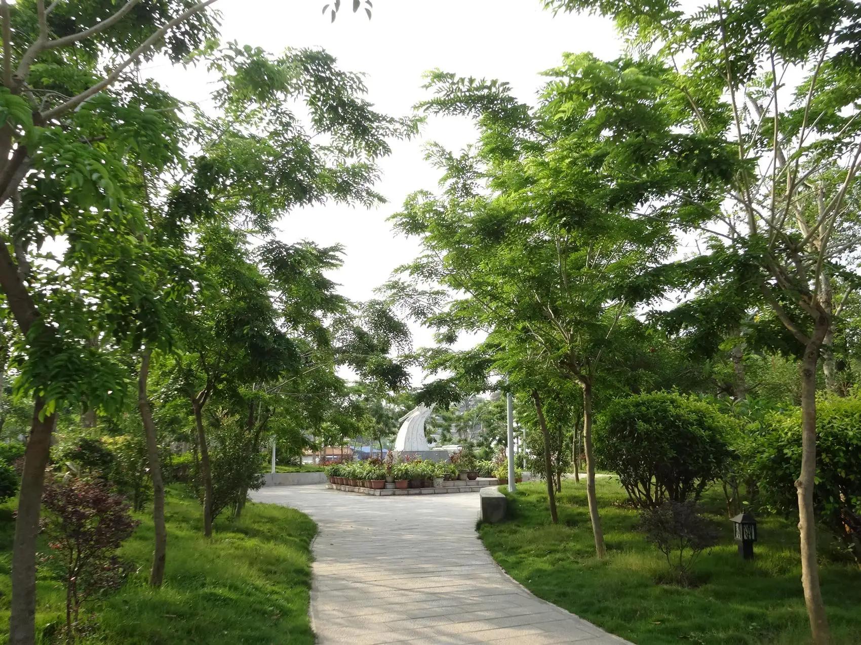 绿色校园之歌 文/周延锋现代诗歌美文美图