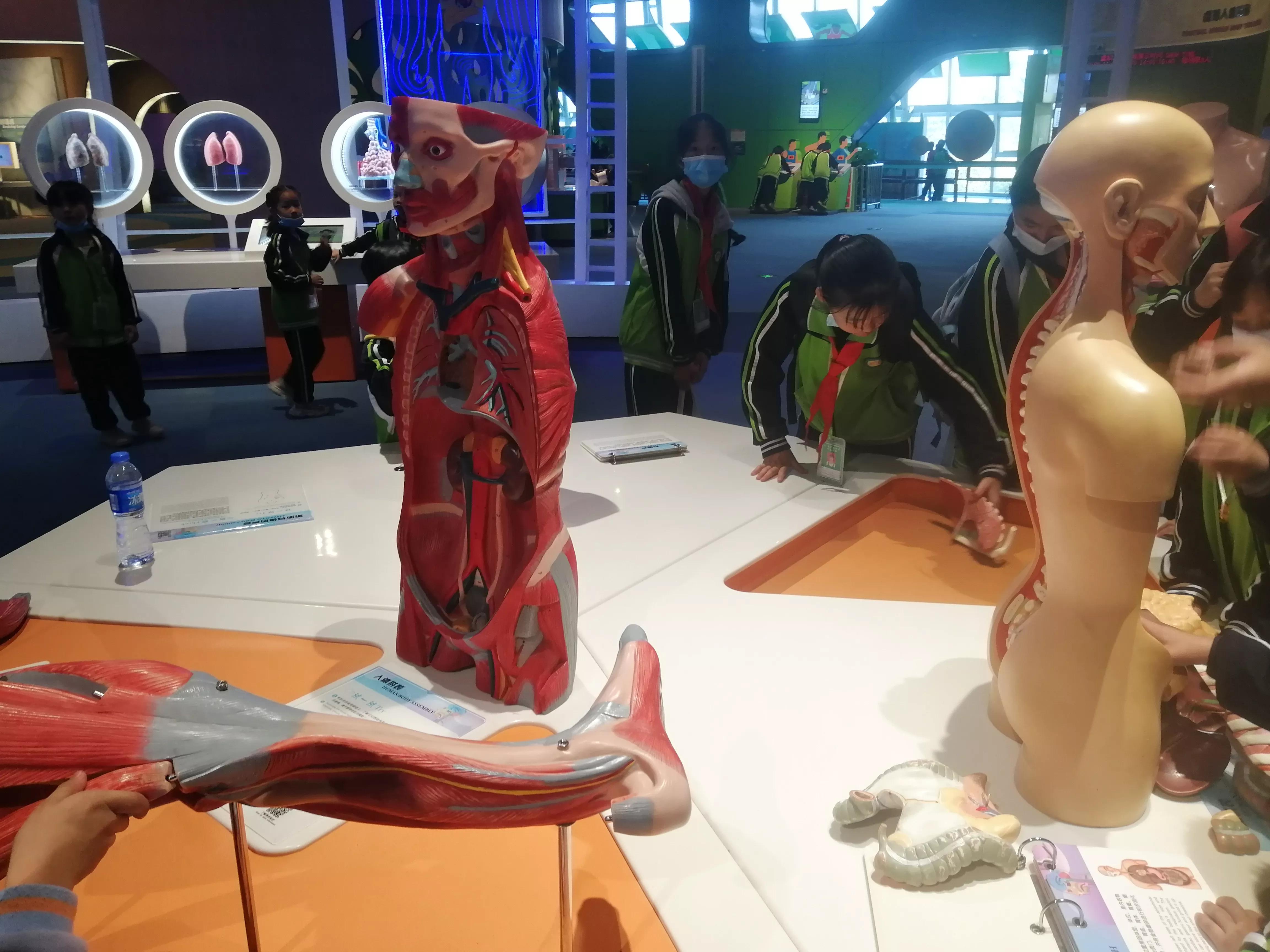 地铁4号线大学城一日游攻略，体验不一样的广州大学城风光（A篇）