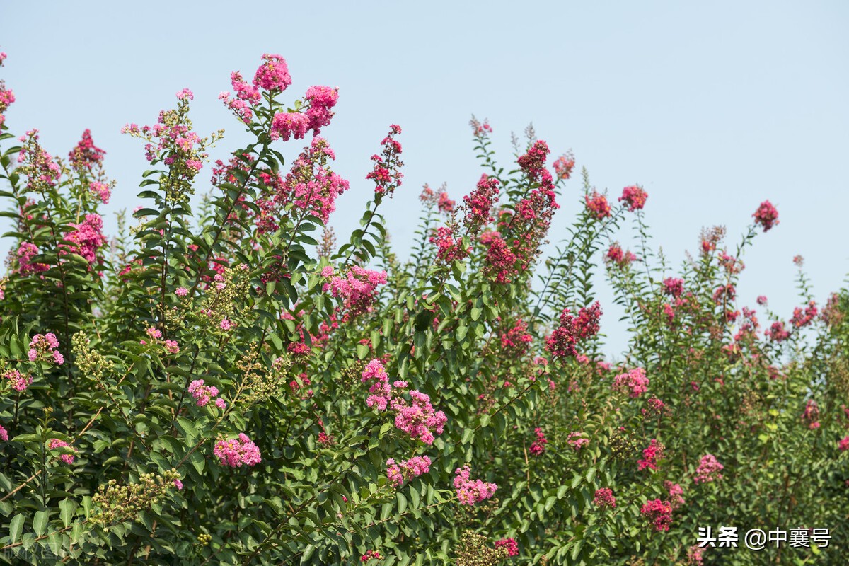 喜报！湖北九地入围国家级名单，将获得中央财政支持