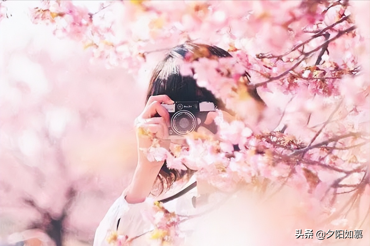 一句话的简单缘分说说句子 简短的缘分句子