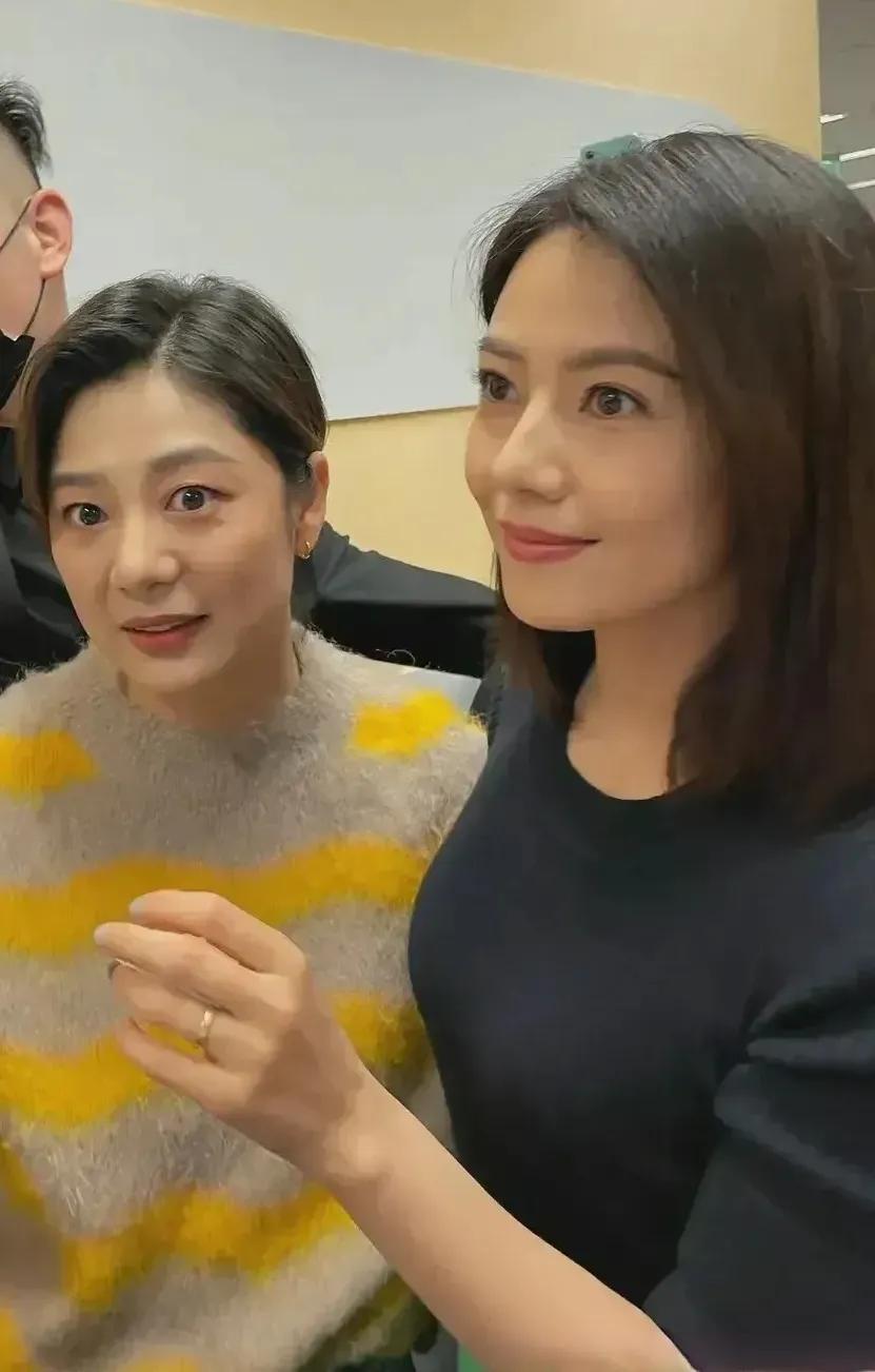 高圆圆女神