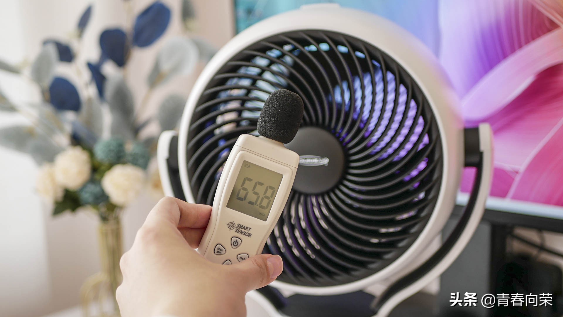 静音舒适，循环送风：舒乐氏空气循环扇体验+噪音测试