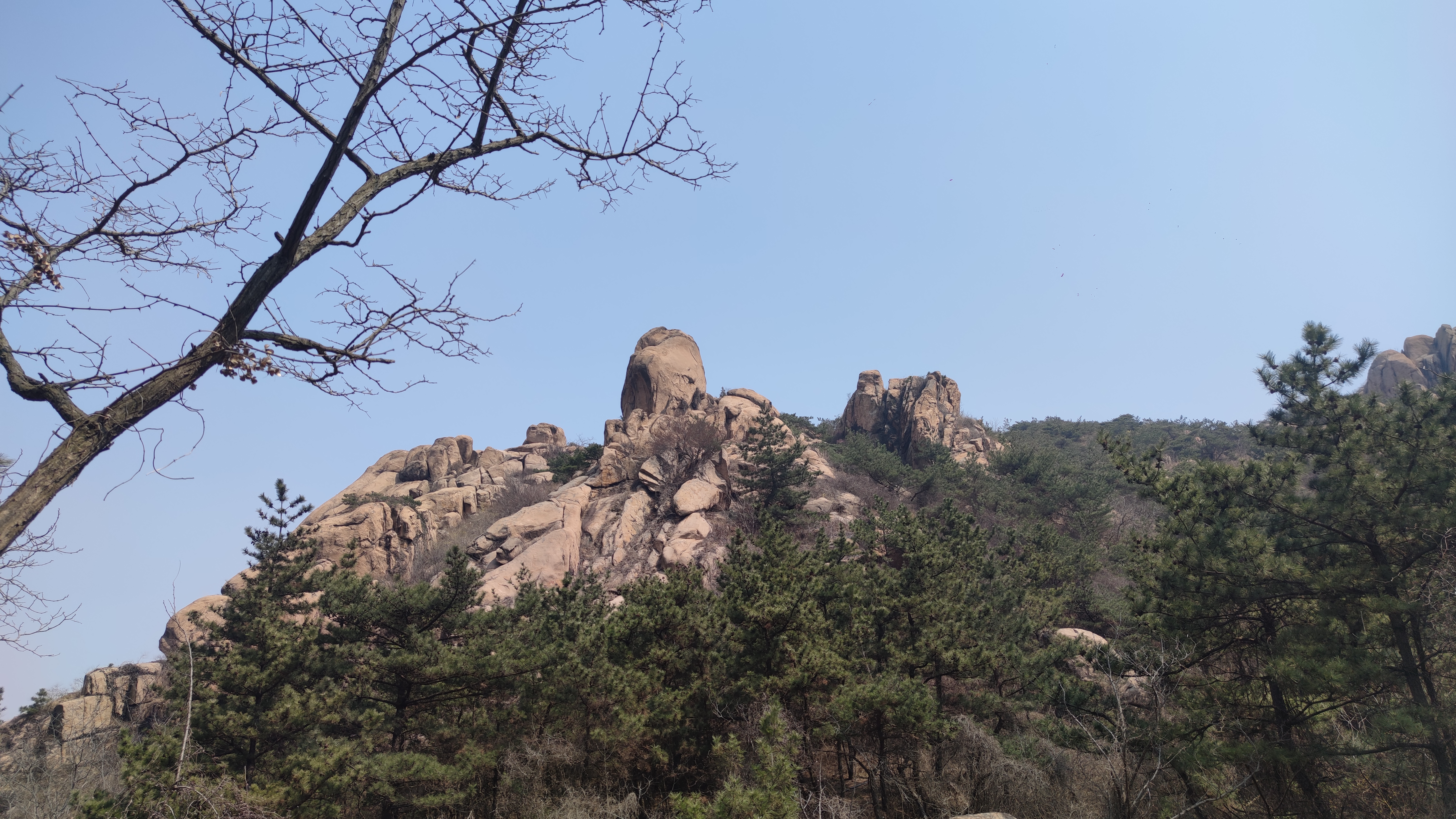 早春，大珠山探寻万亩杜鹃花开爬山游记