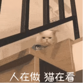 抖音热门表情包原图