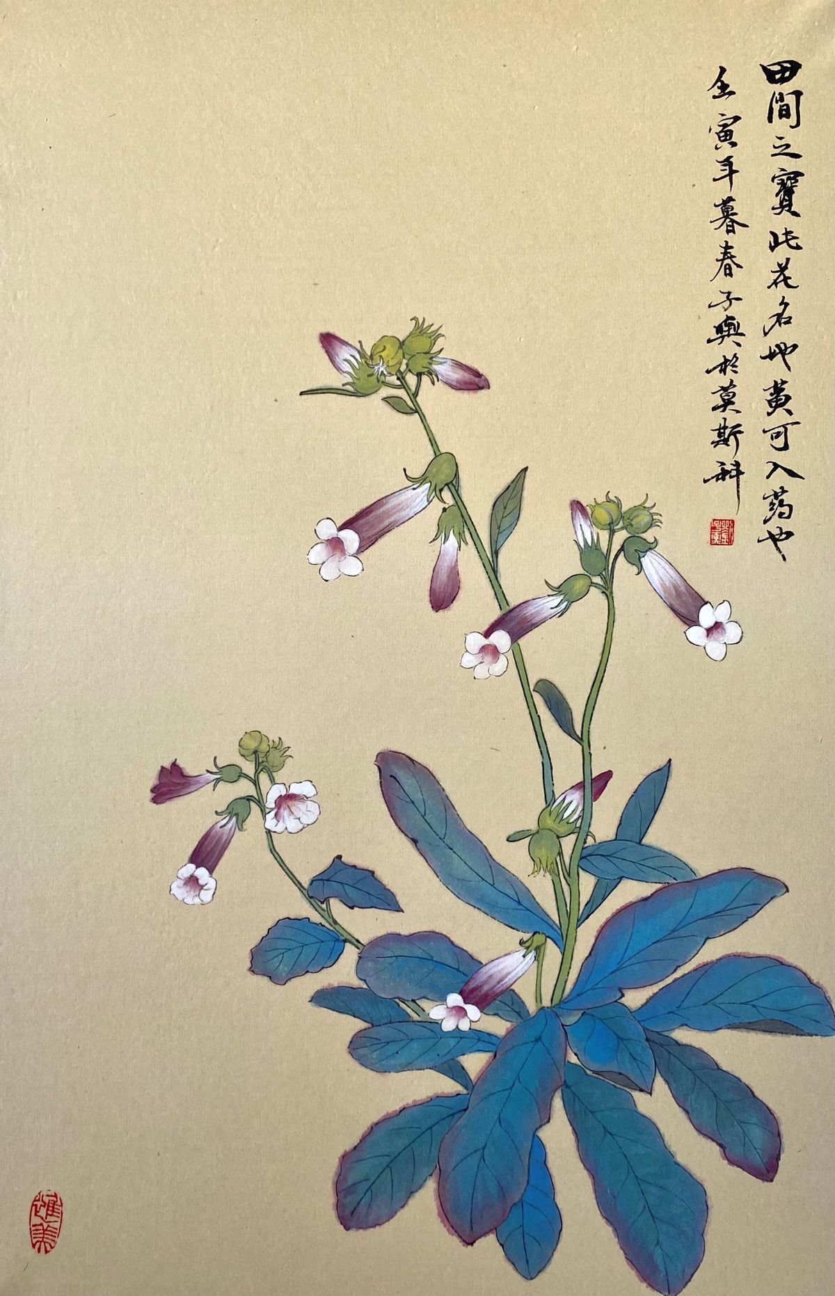 “思考自然之美”开展，刘子舆走进俄罗斯国家科学院“大师课堂”