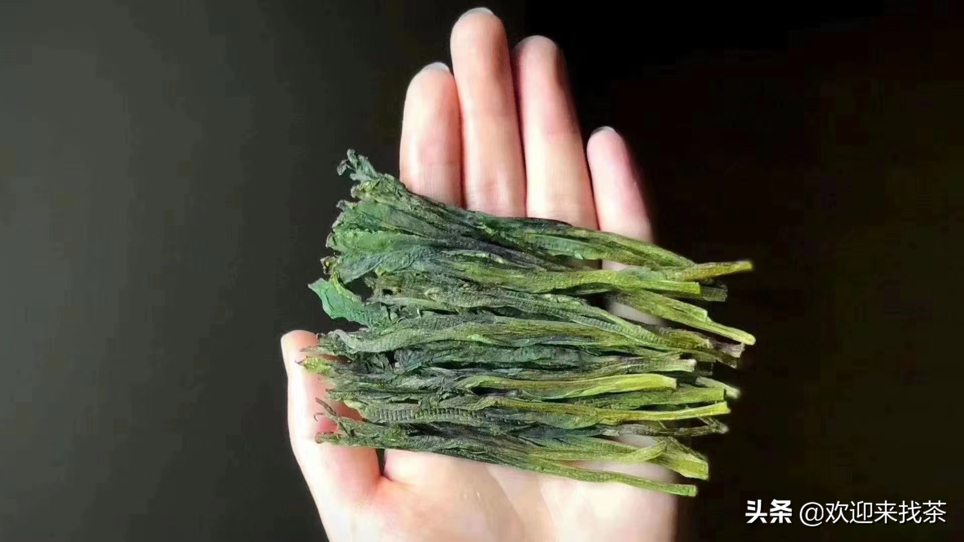 安徽猴魁茶图片的介绍（安徽茶叶的天花板）