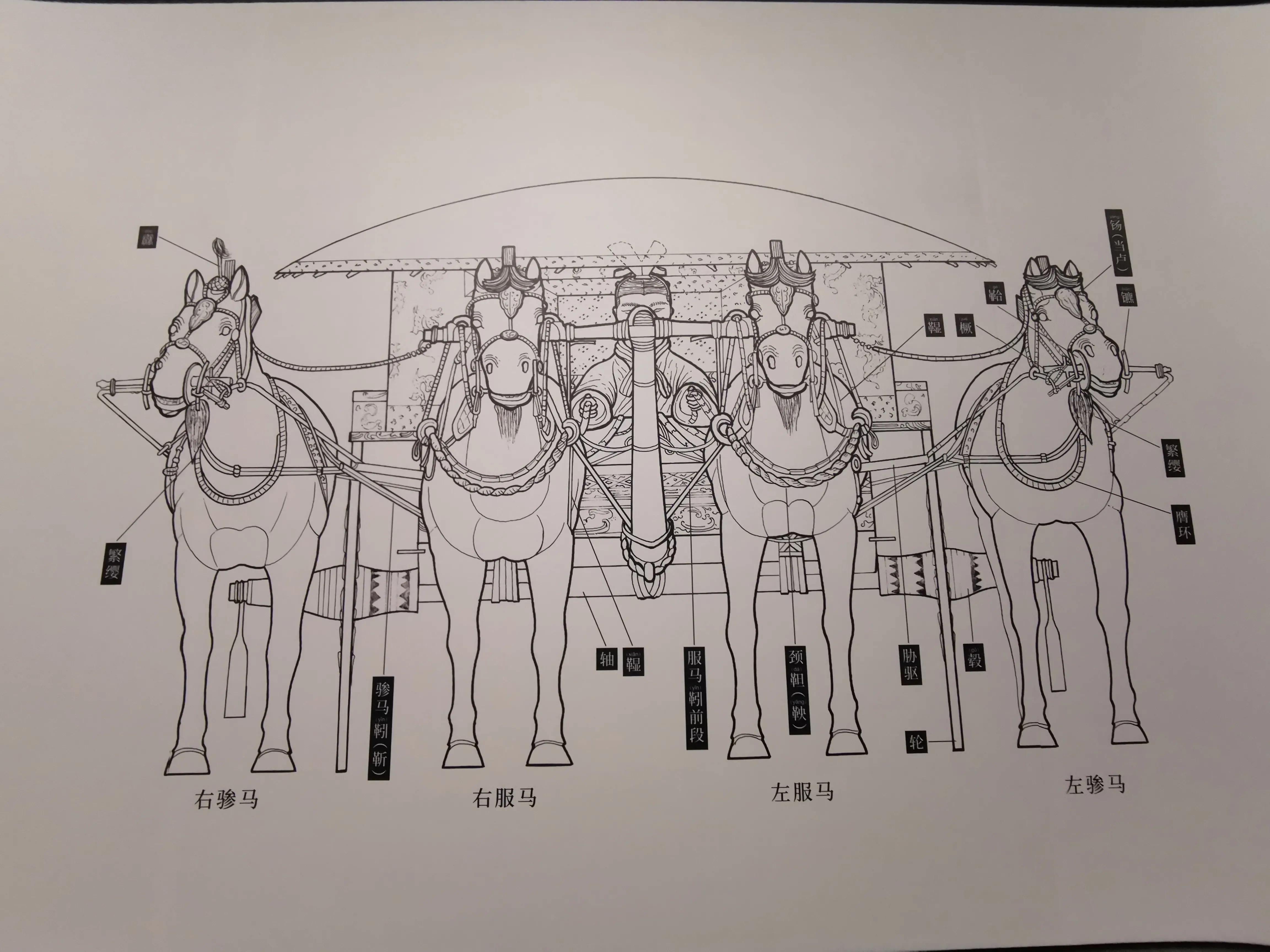 青铜车马各部件示意图图片