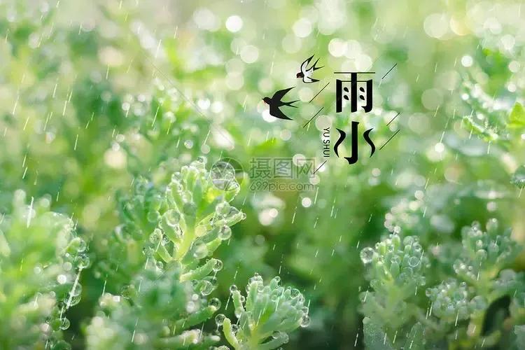 2022雨水节气祝福语，暖心唯美问候短句子文案配图