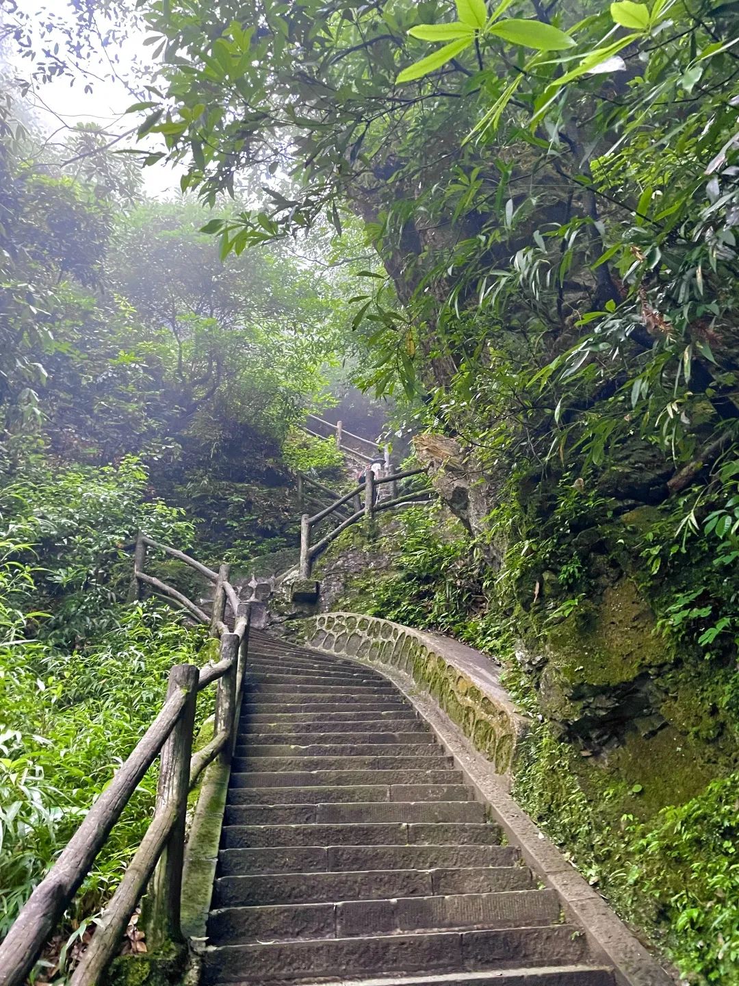 超详细超实用！峨眉山2天1晚徒步攻略收藏起来慢慢看