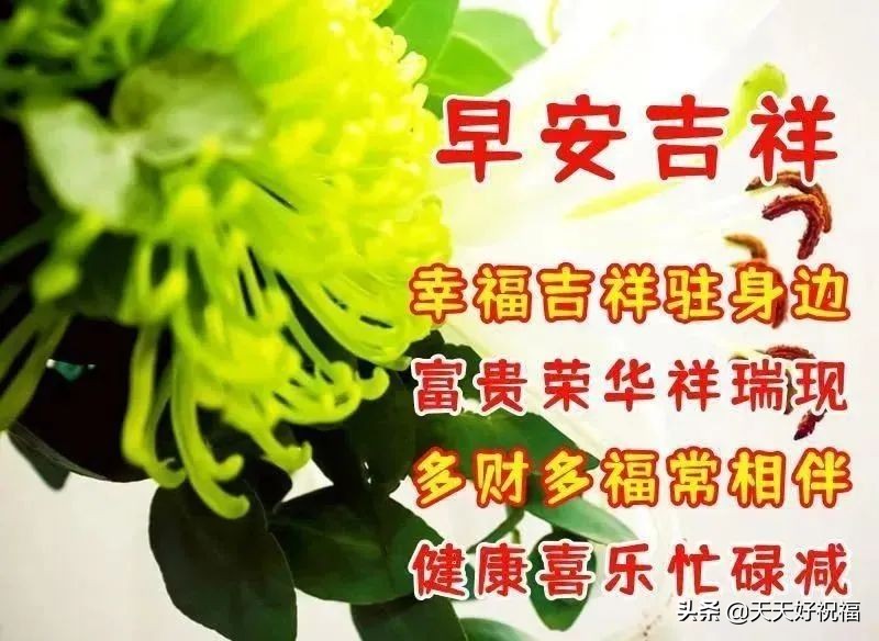 4月8日最新早上好日常祝福语大全，祝你天天快乐