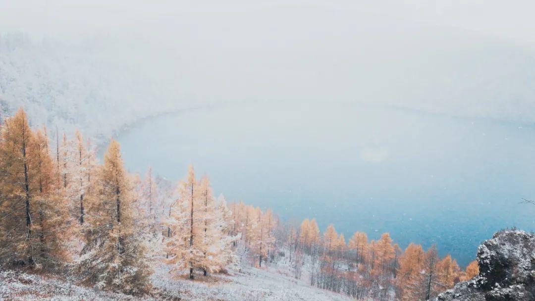 10首冬雪诗词，江天暮雪，落尽琼花，浪漫了整个冬天