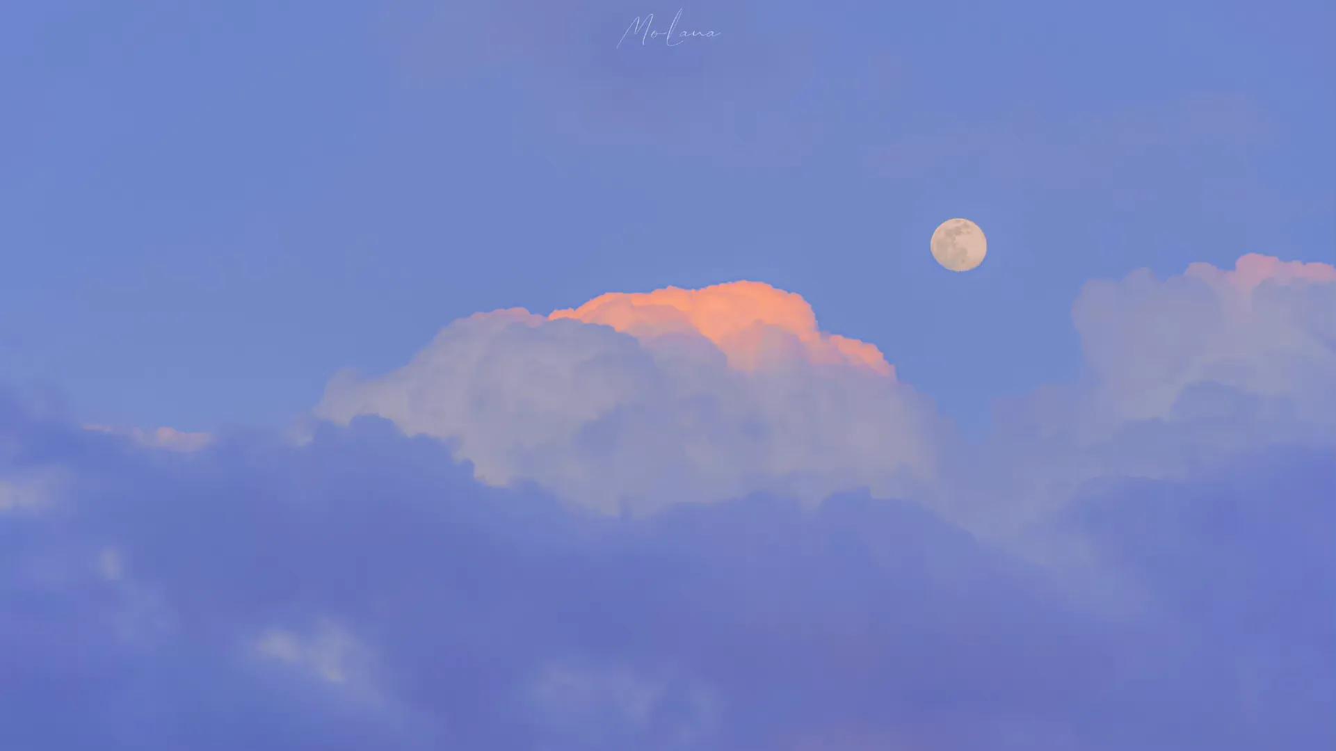 老百姓怎么正确通过网络媒体曝光维权