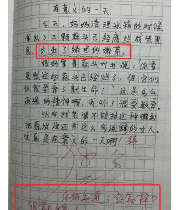 小學生自制“人生规划”，预计32岁获奖，连结局都想得明明白白