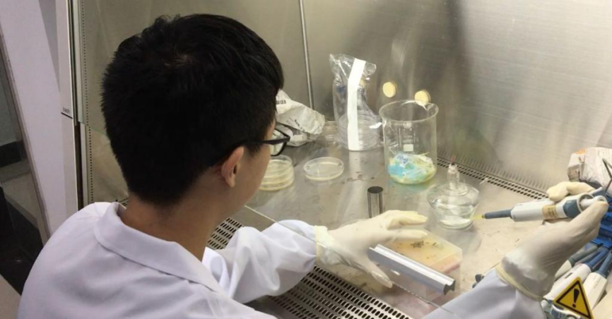 湖南大学生物学院（正式揭晓）