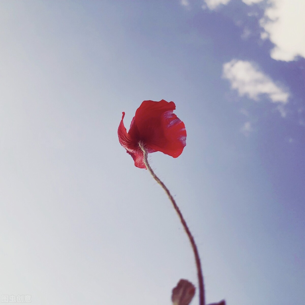 一缕阳光，一杯咖啡，一份心情，一种生活方式