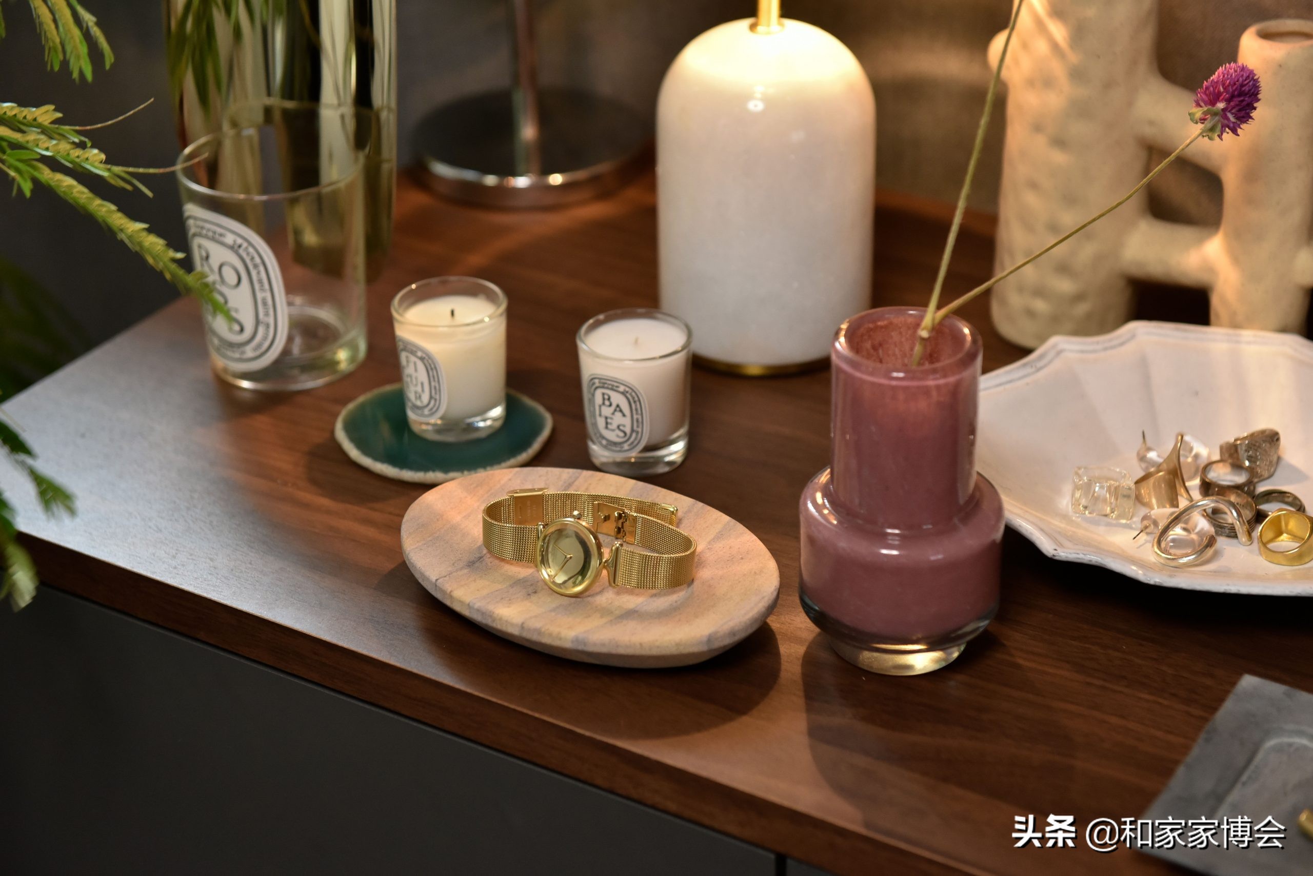 日本女生的“一居室”走红ins，一人一狗的独居生活