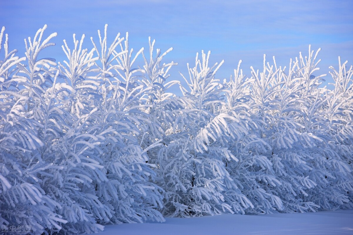 雪舞九天：十首唯美元曲描绘银装素裹的诗意世界