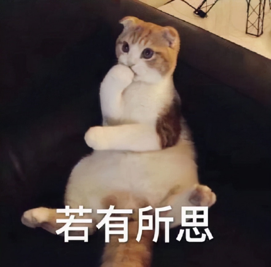 专科生和本科生有哪些区别？我到底要不要选择专升本？