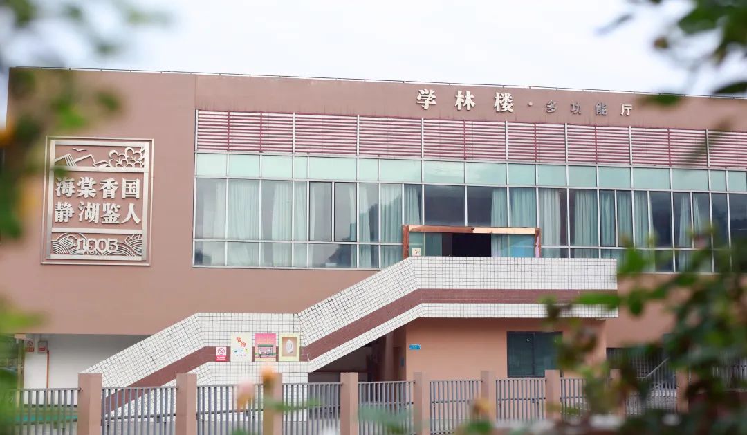 双减不简 综合实践 |双流区棠湖小学综合实践活动课程系列报道