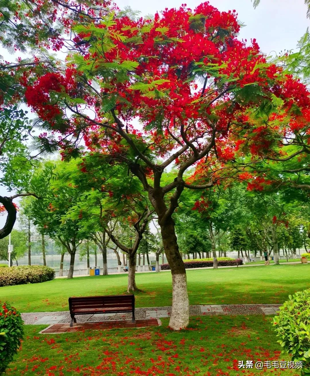 集美杏林有什么好玩的地方啊