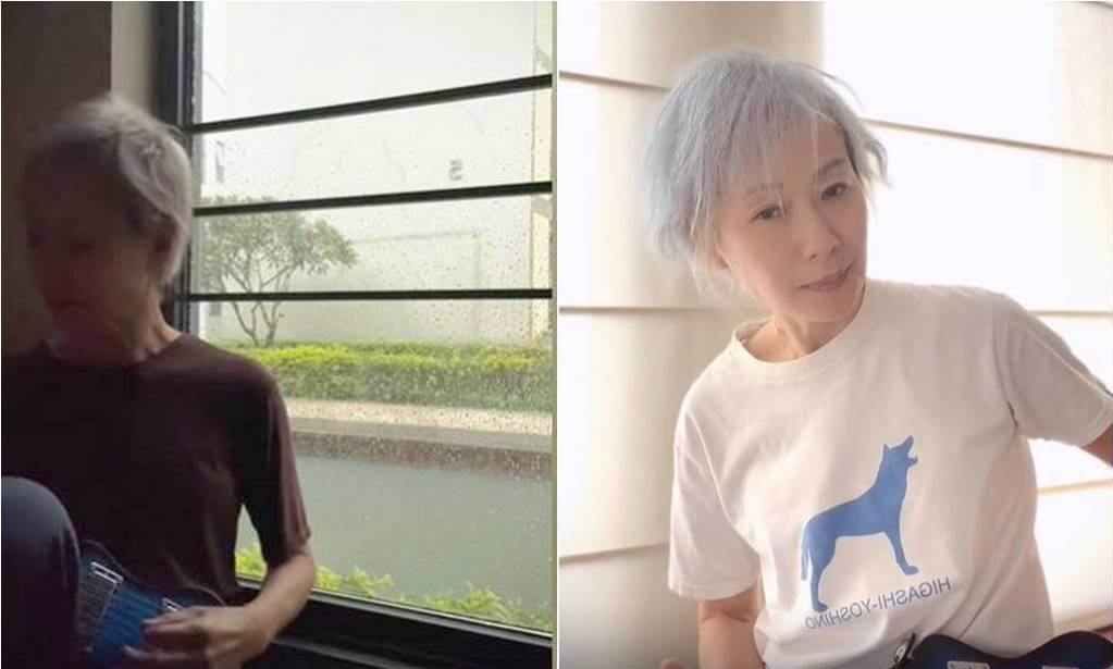 6位昔日女神白发照，刘晓庆成整容脸，叶倩文老得最自然