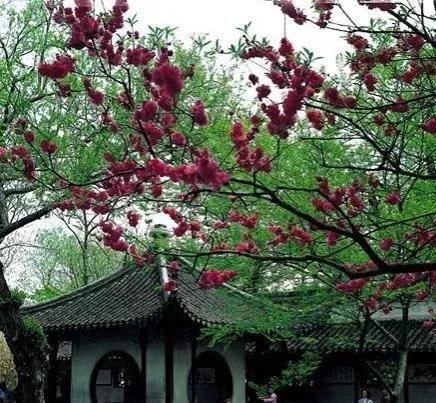 君子之泽，厚德传家