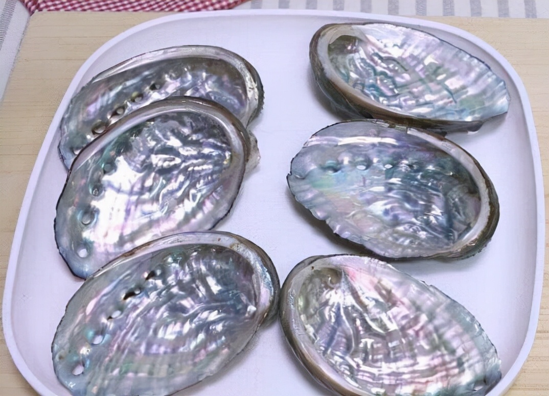 鮑魚的做法,鮑魚的做法及清洗視頻