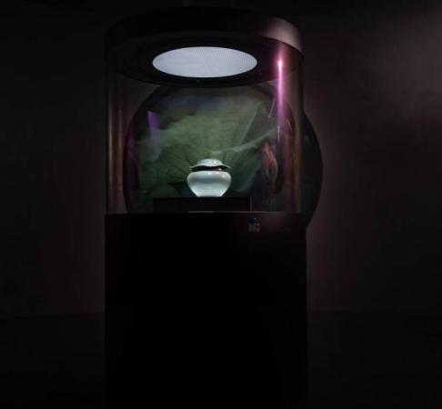 遂宁邀您来过年 将举办文化体验活动