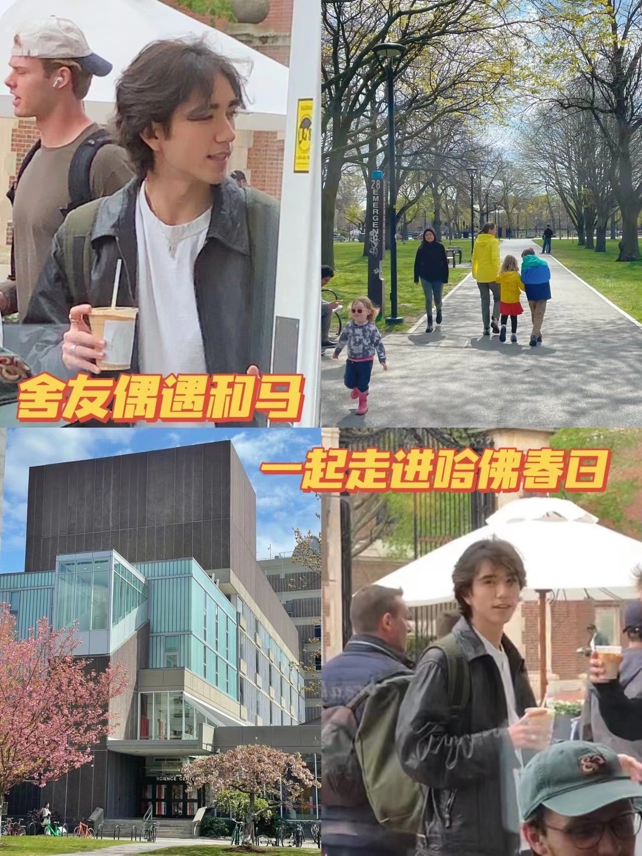 哈佛大学偶遇“和马”，男明星学历天花板，校园文男主照进现实
