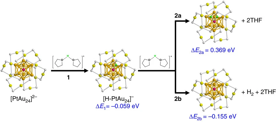 唐青/江德恩｜HER理论研究进展及其在活性位点识别中的应用