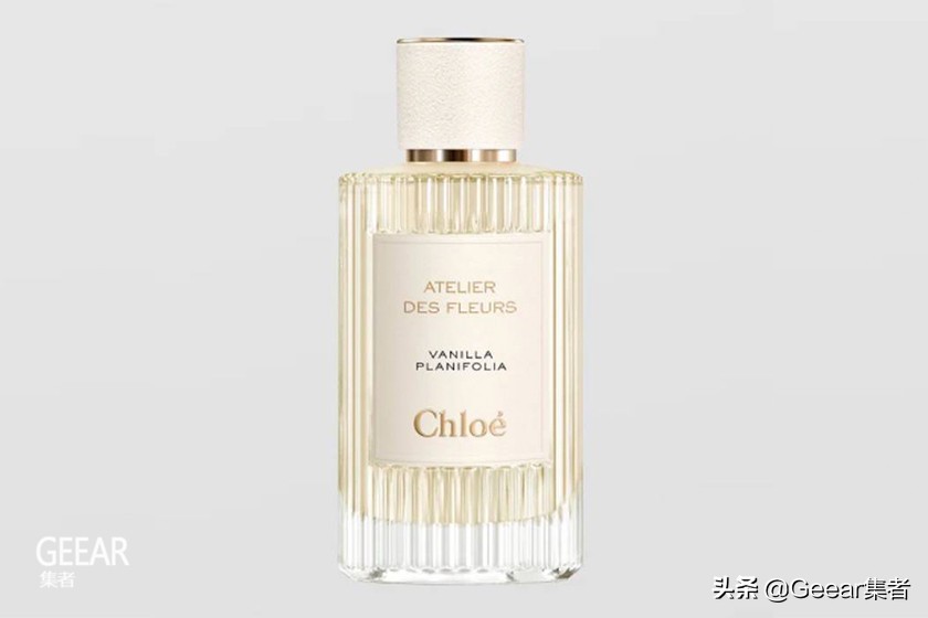 美妆博主香氛柜被它占满，什么魅力让Chloé香水崛起？