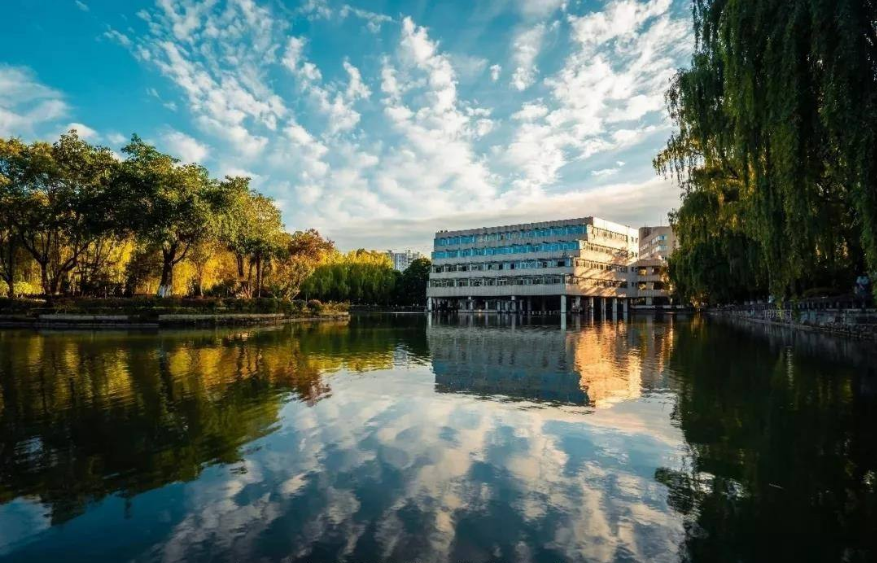 牛！四川“硬核学霸”：成果登上国际权威期刊，还是唯一通讯作者！