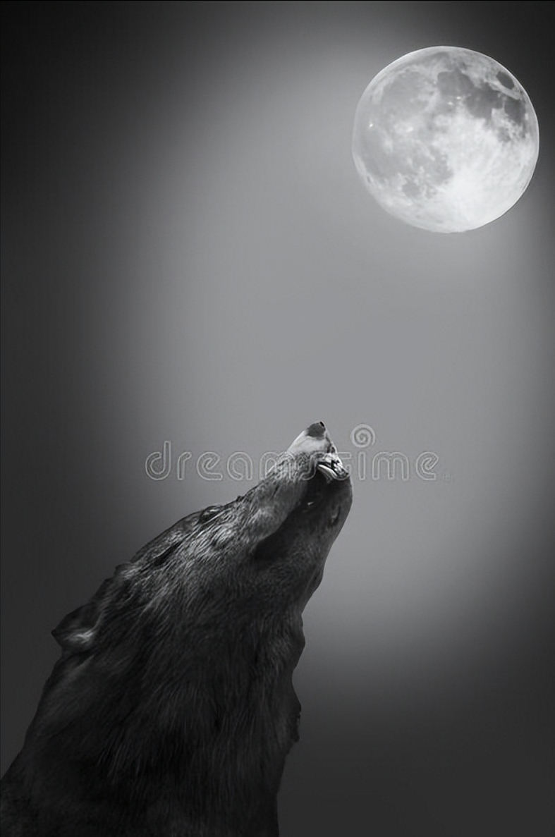芬里尔狼(北欧神话中带来诸神黄昏的巨狼——芬里尔)