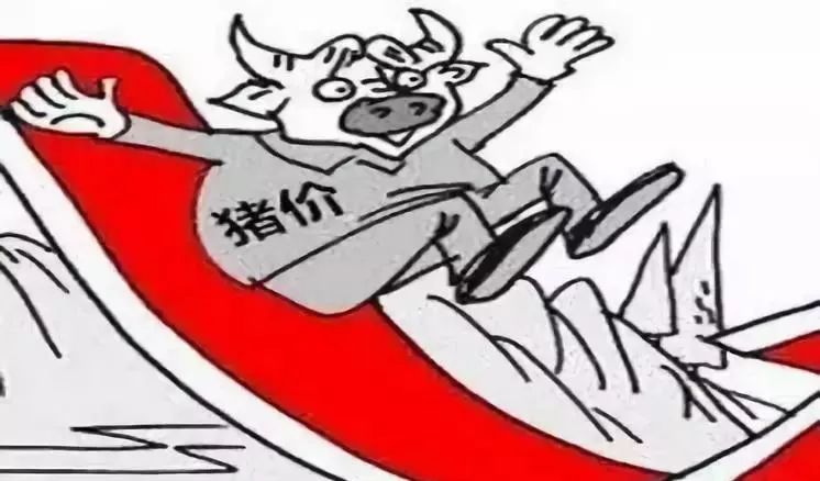 12月29日猪价“下跌预警”，玉米“仓皇掉价”，蛋价更惨！啥情况