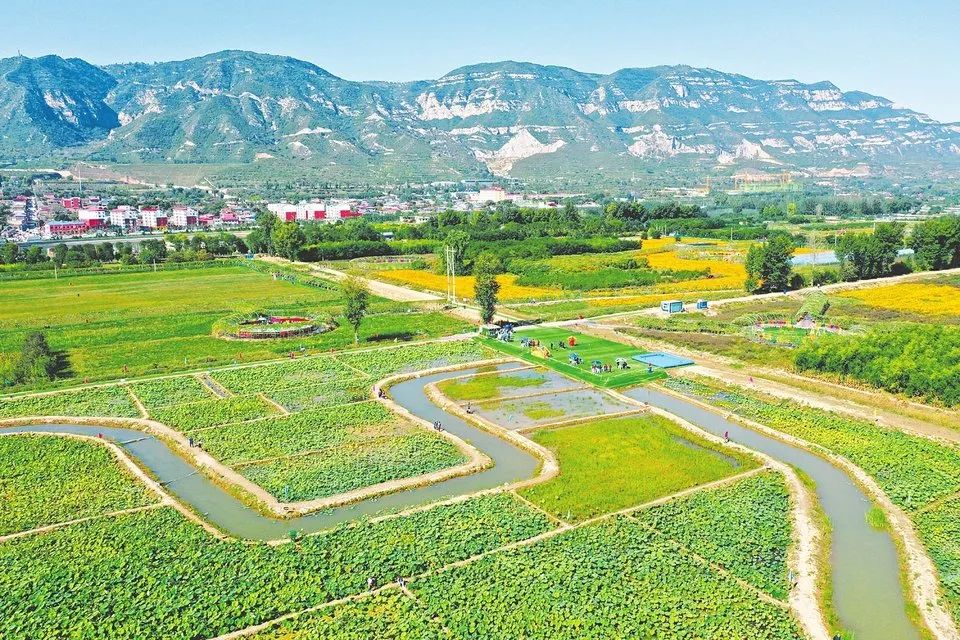 荡漾起满池的温柔~~西山这些地方已被荷花宠坏了！