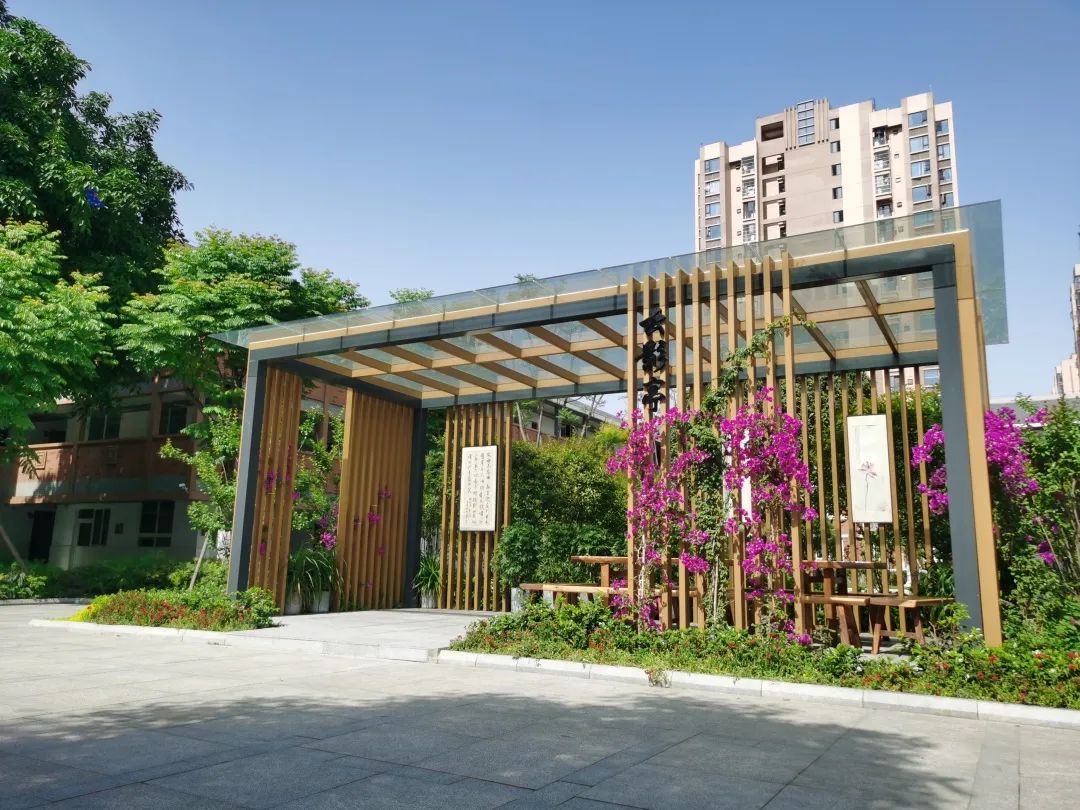 发扬劳动精神 争做先锋少年｜记川大西航港实小劳动技能大赛活动