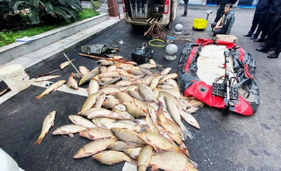 20年还未禁绝，江苏又有人电鱼1万多斤！电鱼的危害究竟有多大？