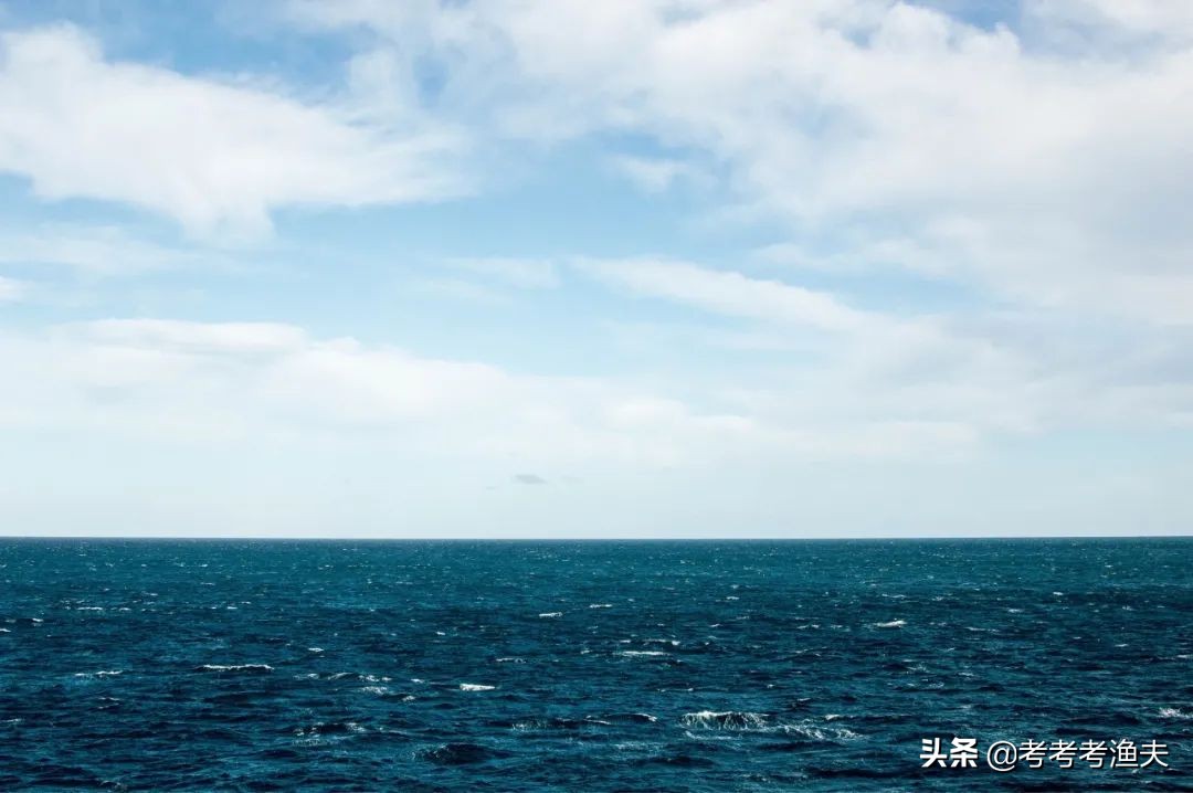 金句｜关于大海的高质量文案：那些看向大海的人，会成为大海