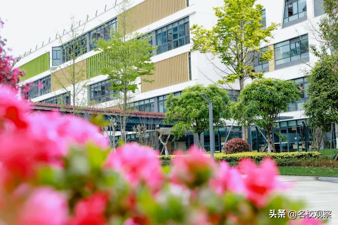 2022年春季优秀教师招聘公告，金苹果锦城一中等你来