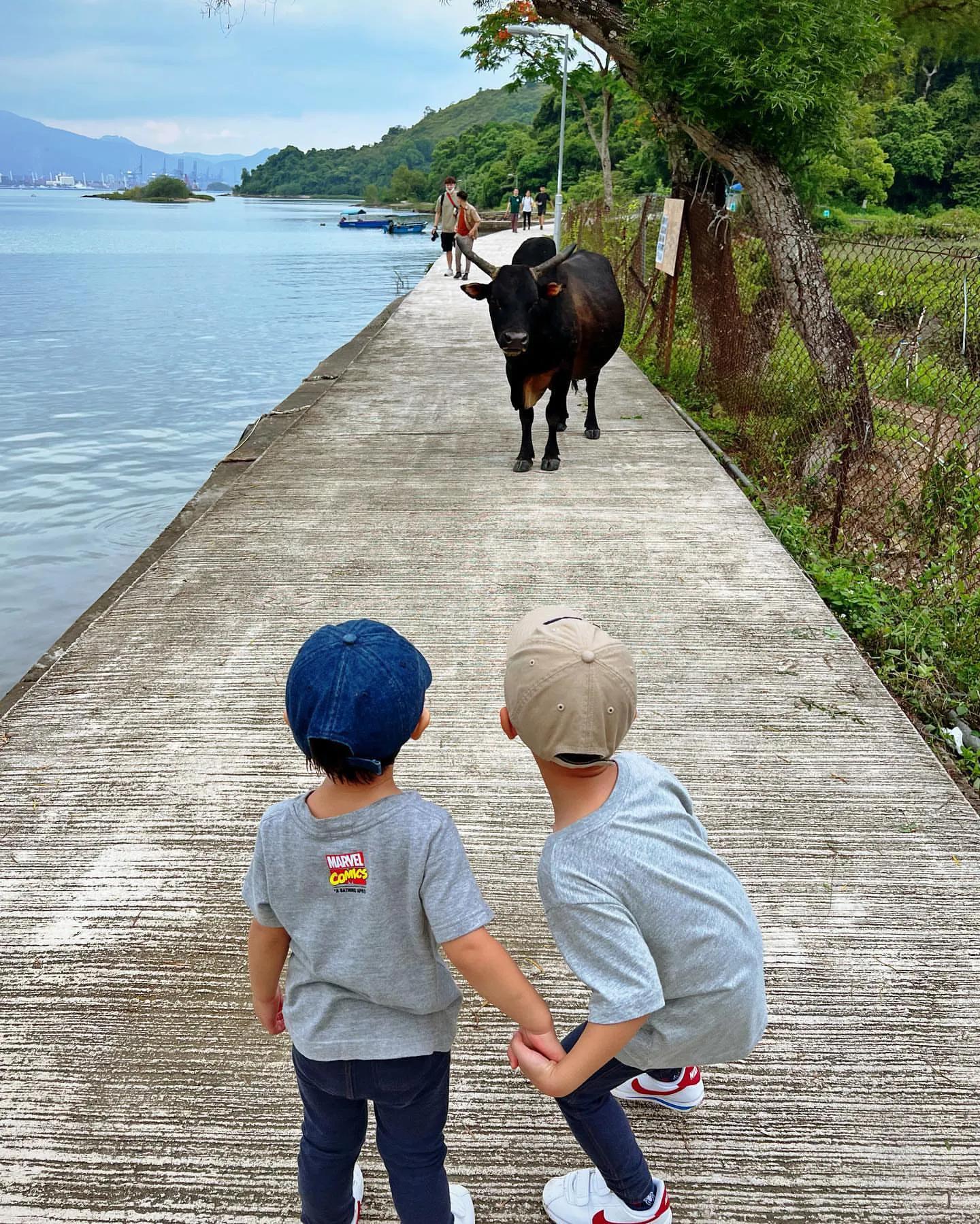 胡杏儿老公晒祖孙三代出游照，一手拎一儿子当健身，大展爸爸力