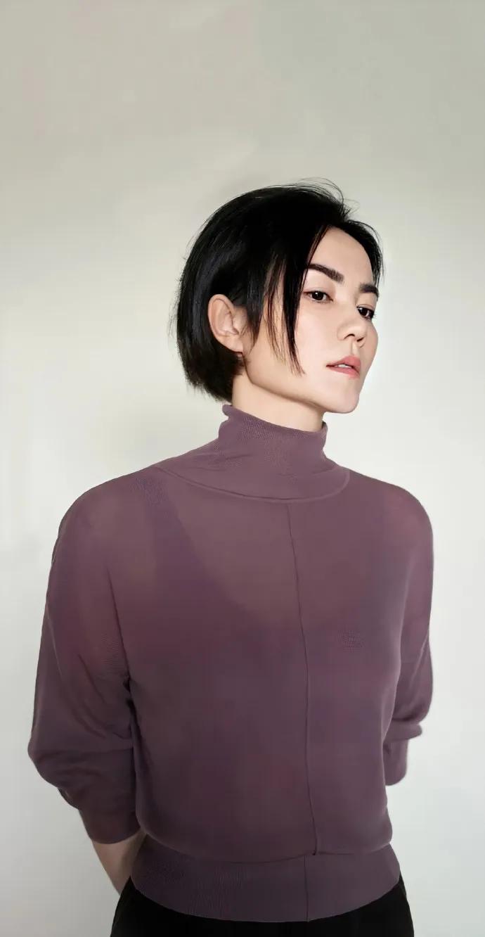 王菲，25张精美的照片