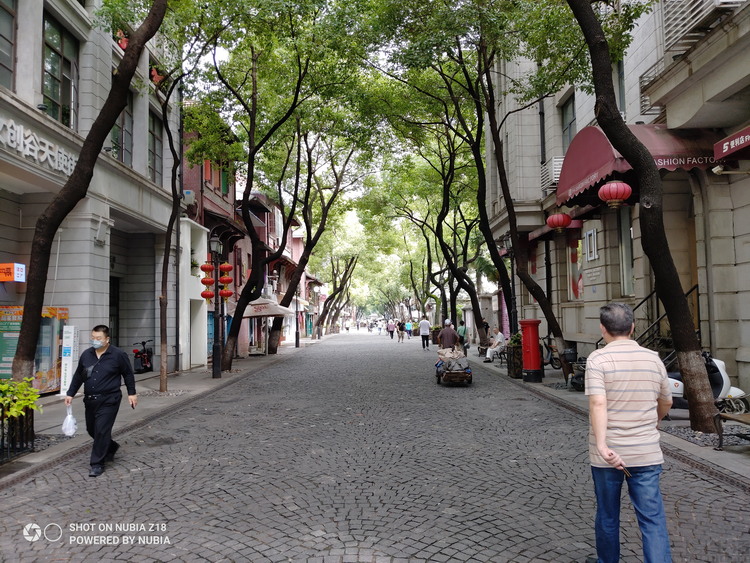 系统升级会“负优化”拍照？我们测了两台手机