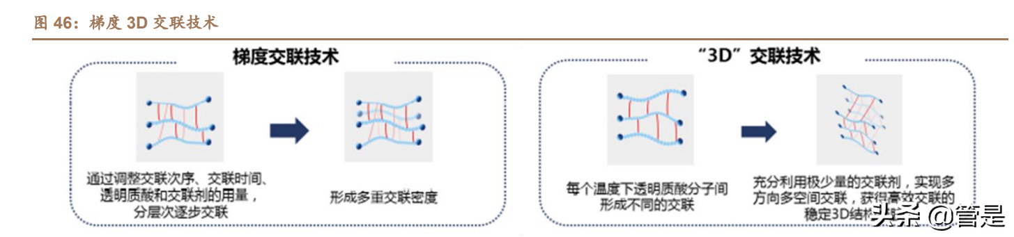 医美化妆品行业之华熙生物研究报告：龙头强α逐步兑现