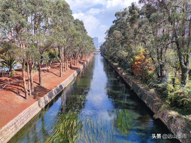 河水清澈,水草飘摇,河岸景致,色彩缤纷,初冬的昆明盘龙江,美