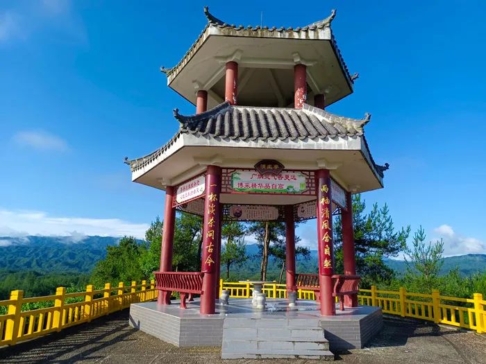 官宣！漢中市茶旅融合精品線路發(fā)布