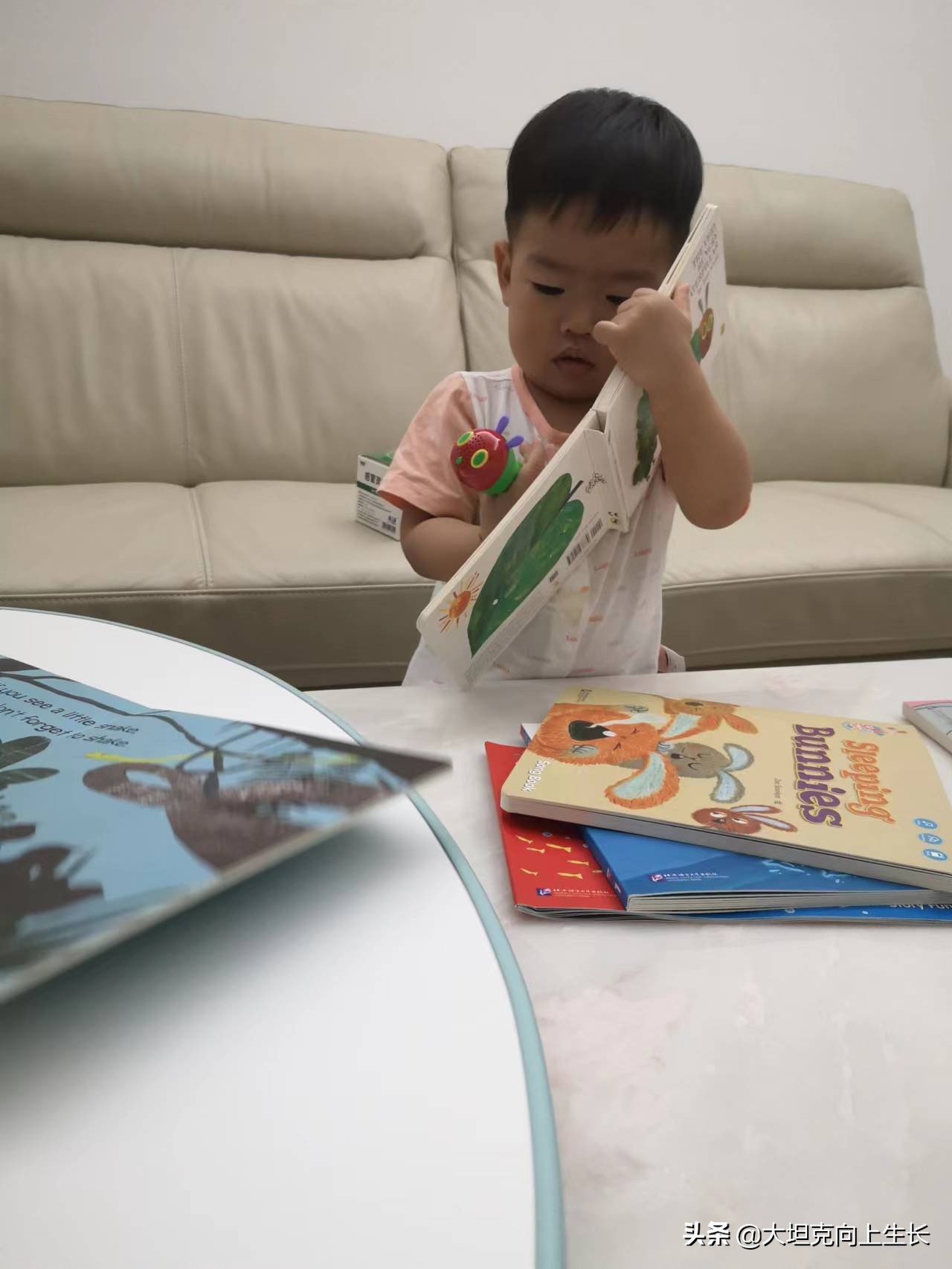 新课标下，宝宝识字和阅读启蒙要如何规划？
