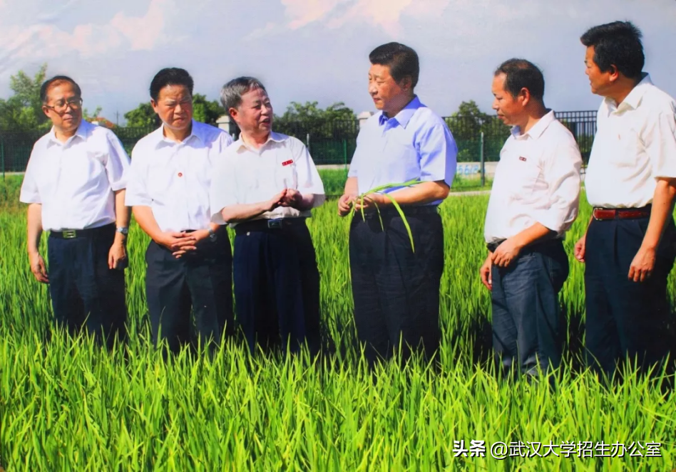 从农村娃到院士，他取得重大成果，获国家科技进步特等奖，总书记前来看望！
