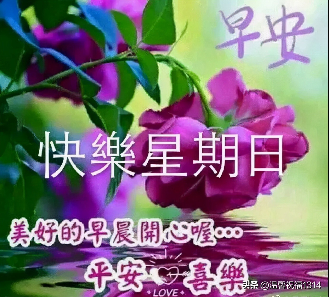 周末愉快早上好问候语,星期天阳光早晨好图片带字